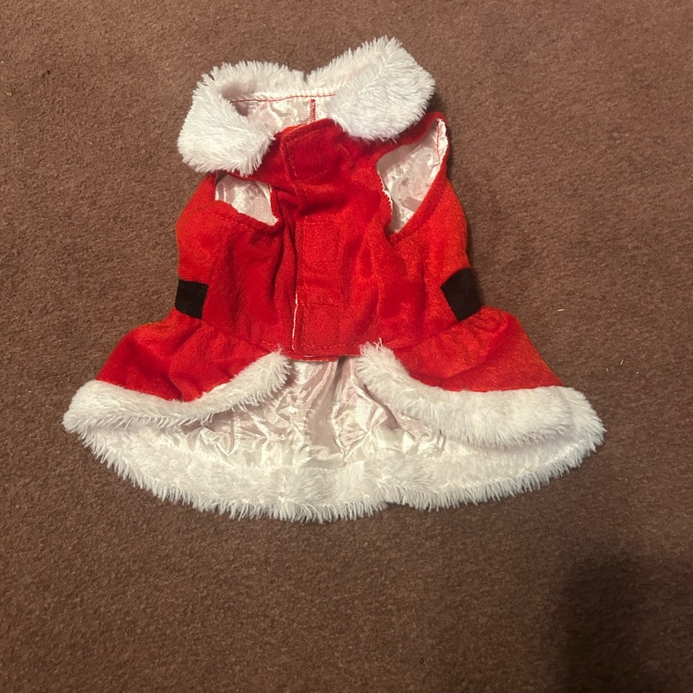 Red Santa Dog Dress with White Trim - Picture 5 of 15